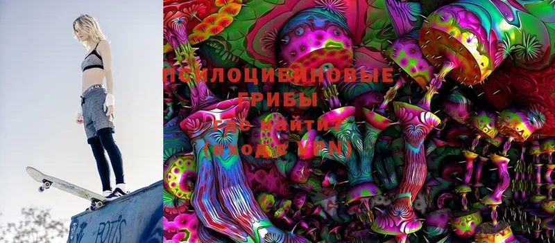 OMG ТОР  Кирсанов  Галлюциногенные грибы Psilocybe 